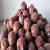 2025新货蓟州蓟县特产农家野生酸枣粒大酸枣沙枣干酸甜可口500g