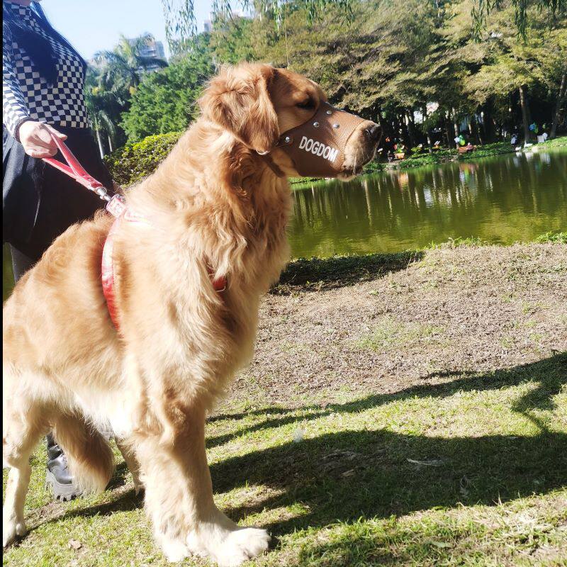 狗用品狗嘴套防咬防叫防打架防乱吃轻便防脱大型犬狗口罩嘴巴套