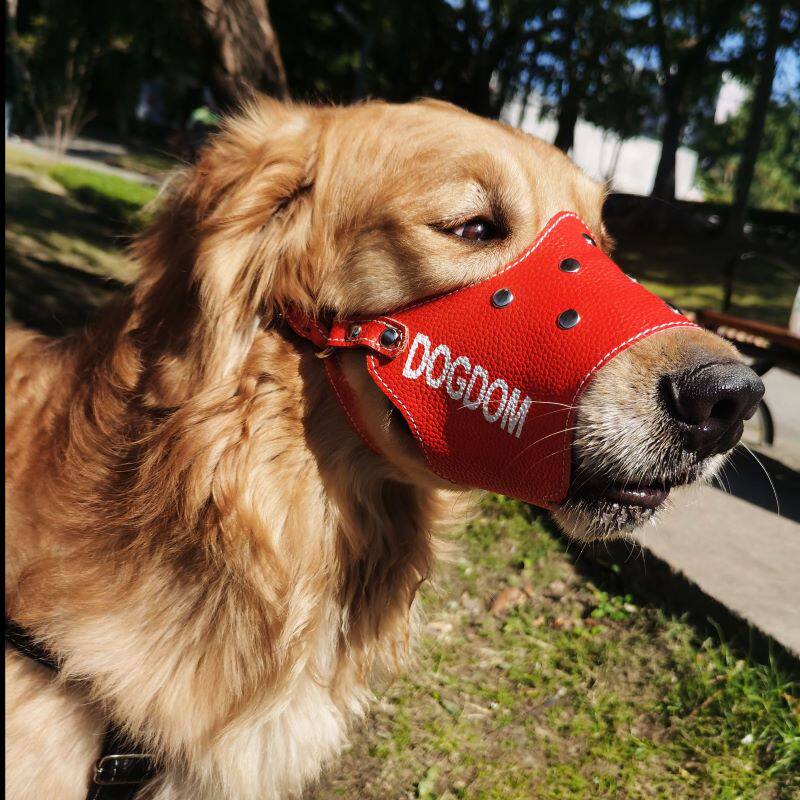 狗用品狗嘴套防咬防叫防打架防乱吃轻便防脱大型犬狗口罩嘴巴套,宠物/宠物食品及用品,嘴套,淘宝优惠券,粉丝福利购,淘宝优惠卷
