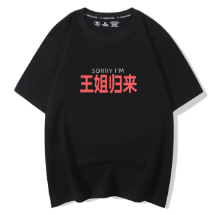 趣味王姐归来t恤谐音梗创意印花休闲纯棉短袖男女百搭通勤小众潮