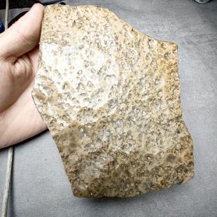 新疆多宝角砾岩自然原石茶台摆件1.16公斤13*18*3厘米10256