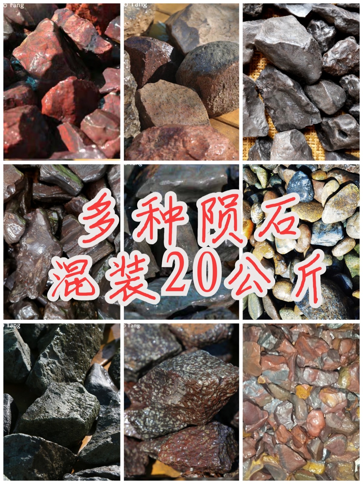 新手练手标本研究收藏