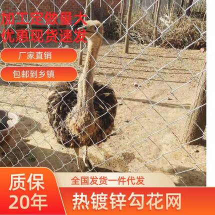 镀锌铁丝网护栏网勾花网户外养殖羊牛猪钢丝网果园围栏防护网栅栏