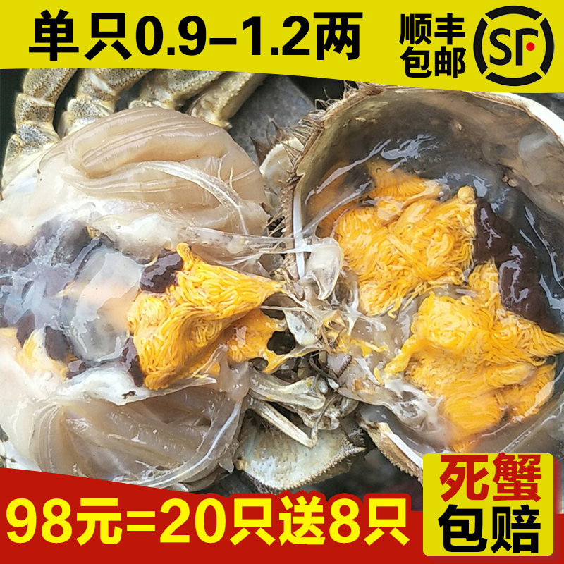 貢果麗20只送8只螃蟹鮮活現貨大閘蟹活體秒殺100元以下海鮮水產品