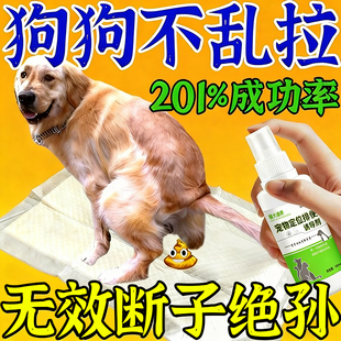 狗狗定点排便神器宠物不乱拉屎上厕所诱导剂引大小便尿垫定点训练