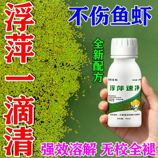 浮萍清除剂鱼塘水草浮萍净一扫光池塘除黑绿藻青苔清理神器免打捞