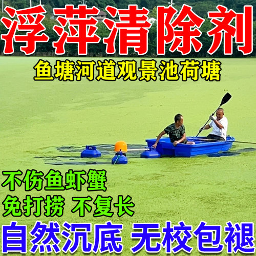 浮萍清除剂鱼池鱼塘除藻去苔剂