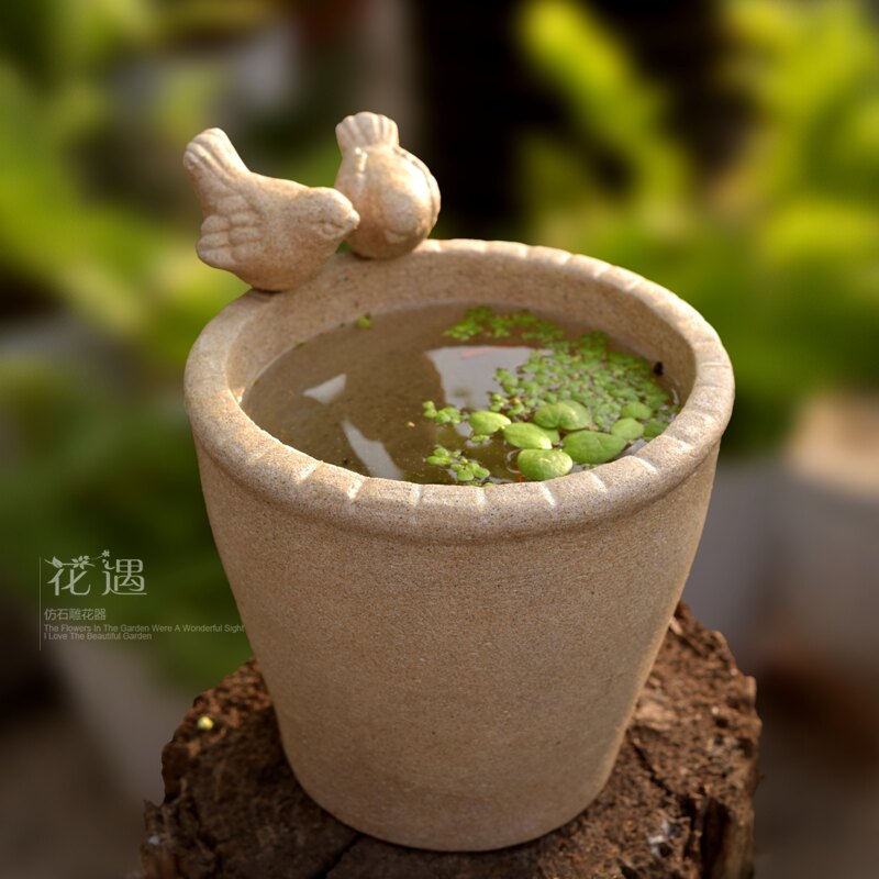 仿石小鸟碗莲无孔水培花盆