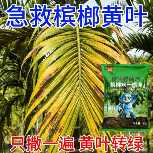 槟榔黄化病专用菌剂海南槟榔黄叶黄斑黄龙病促长防病黄叶快速转绿