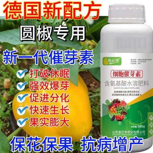 圆椒细胞分裂素叶面肥圆椒爆芽素促进花芽分化促进生长催芽剂增产
