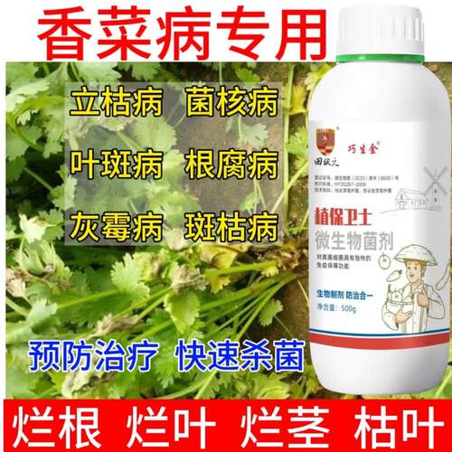 香菜病全管香菜专用药叶斑病根腐病菌核病枯萎病斑点病专用杀菌剂
