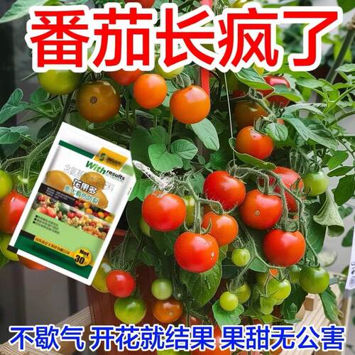 番茄营养液促花促果防黄叶促发芽专用肥家用生长期挂果增甜水溶肥