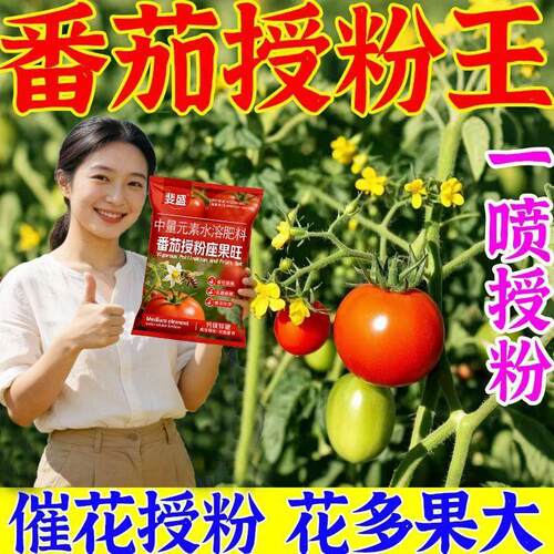番茄座果灵番茄专用点花药西红柿专用授粉座果灵保花保果膨大防落