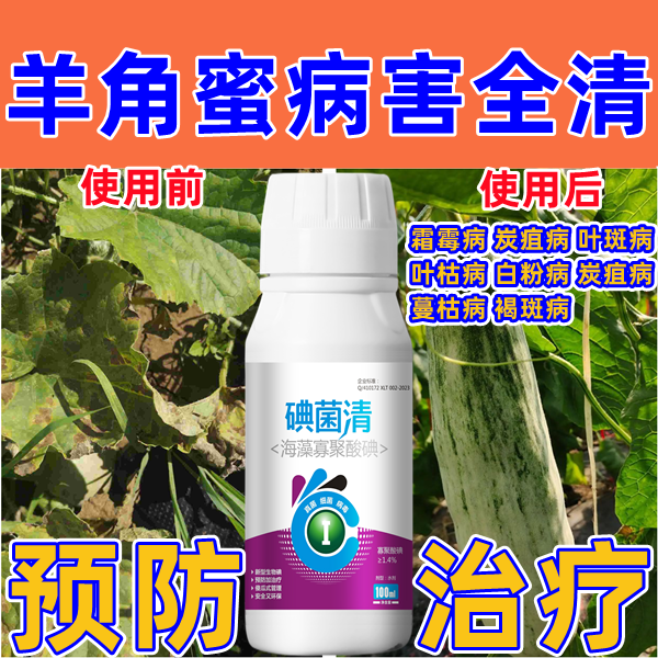 羊角蜜杀菌剂羊角蜜专用杀菌剂羊角蜜病全治羊角蜜 炭疽病白粉病