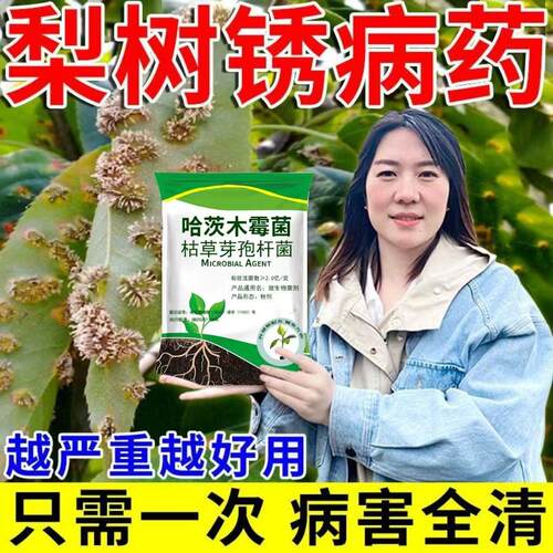 【保】梨树专用铁锈杀菌剂梨树铁锈病枯叶病根腐芽腐病条斑病