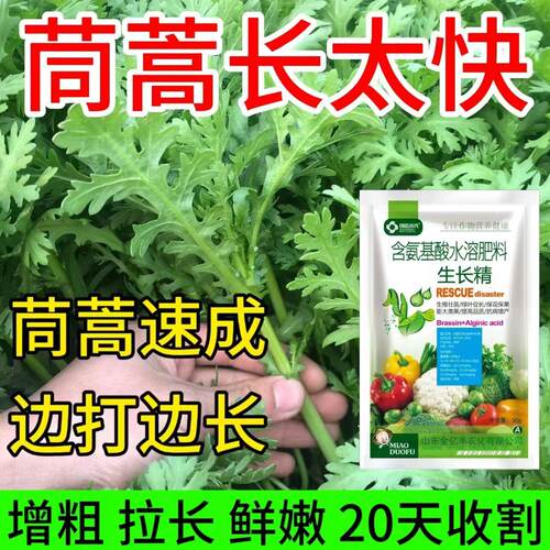 【茼蒿速长灵】茼蒿专用叶面肥催生速长鲜嫩茼蒿通用增产肥料