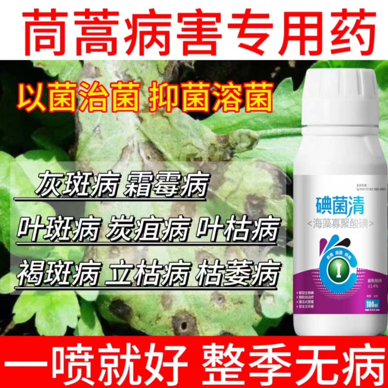 茼蒿病害专用药茼蒿病害清叶斑病专用立枯病白粉病专用杀菌剂