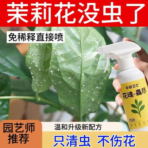 垂丝茉莉花杀虫剂专用杀虫剂驱虫药除虫剂防虫打虫药红蜘蛛专用药