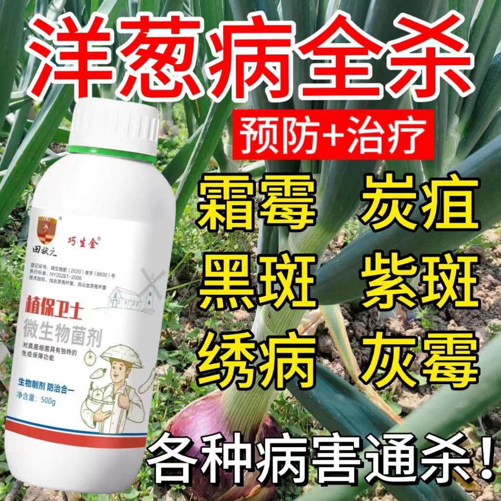 洋葱杀菌剂病害全杀洋葱病全治杀菌农药根腐病霜霉病紫斑病灰霉病