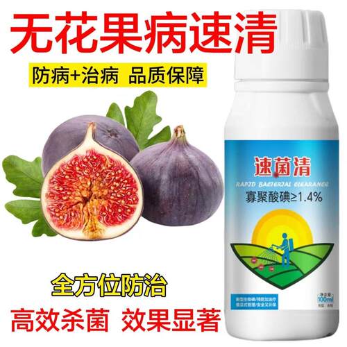 无花果锈病专用药雨后黄叶病叶斑病炭疽病根腐病裂果病通用杀菌剂