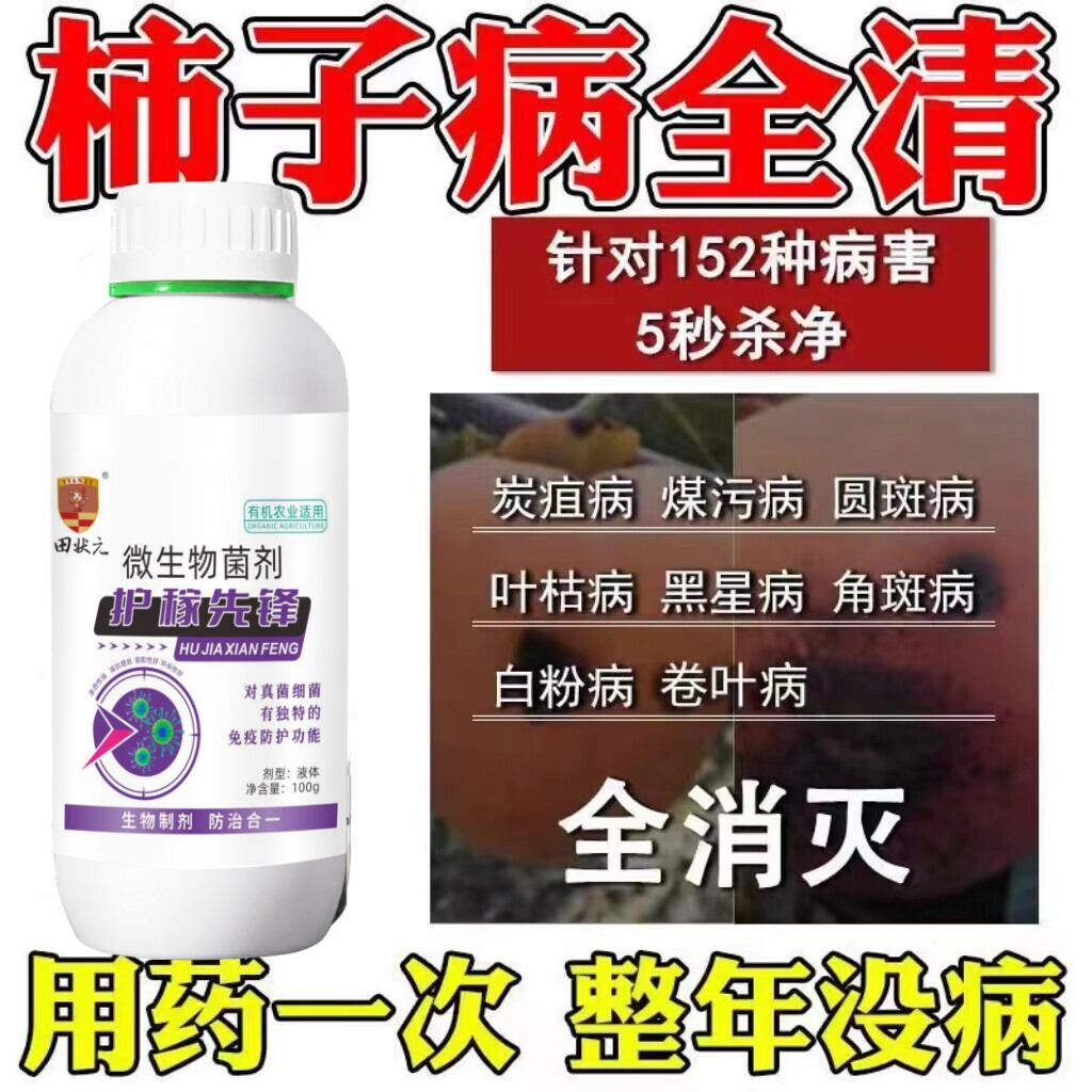 柿子树肥料柿子树卷叶缩叶叶子卷曲黑点枯萎穿孔炭疽病专用杀菌剂