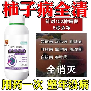 柿子树肥料柿子树卷叶缩叶叶子卷曲黑点枯萎穿孔炭疽病专用杀菌剂