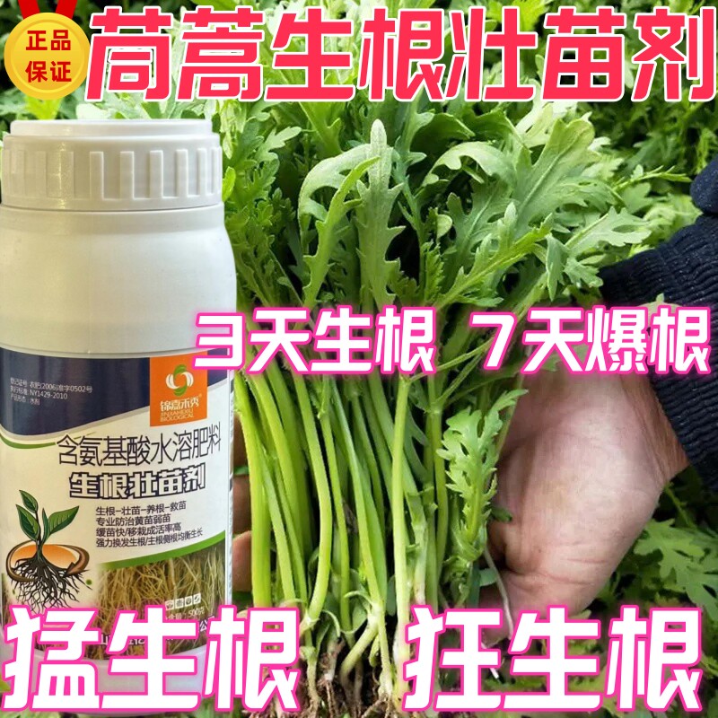 茼蒿生根粉果树扦插生根壮苗剂增产营养液蔬菜药材强力生根叶面肥
