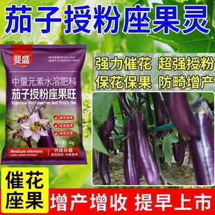 茄子增果灵坐果肥治不开花不结果保花保果防落防畸增产增甜叶面肥