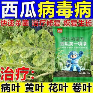 西瓜专用药甜瓜西瓜杀菌剂西瓜死苗烂根病烂果病叶枯病炭疽病专用