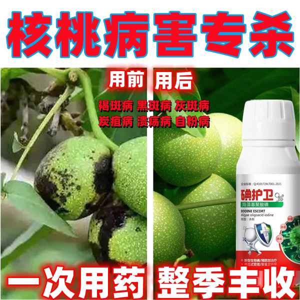 核桃病防治核桃病杀菌核核桃微生物菌剂专用药灰斑病褐斑病黑斑病