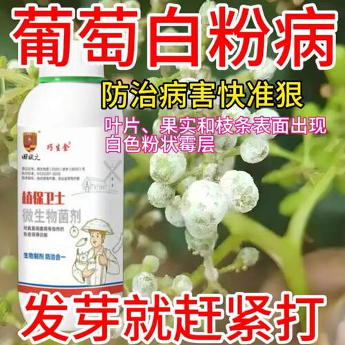 葡萄病专用杀菌剂葡萄病专用药葡萄霜霉病白粉病黑痘病炭疽病全治