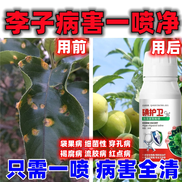 杏树病专治李子病害专用李子杀菌剂李子穿孔病褐腐病流胶病红点病