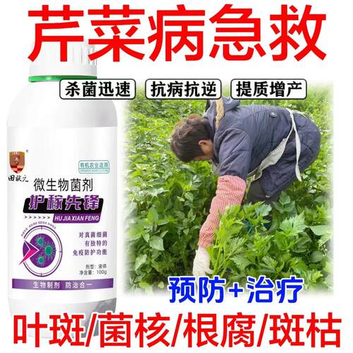 芹菜病害专用药芹菜病菌清心腐腐烂白粉叶斑专用杀菌剂病全治全管