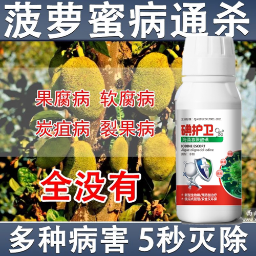 菠萝蜜病全治菠萝蜜专用杀菌剂菠萝蜜叶面肥果腐病裂果