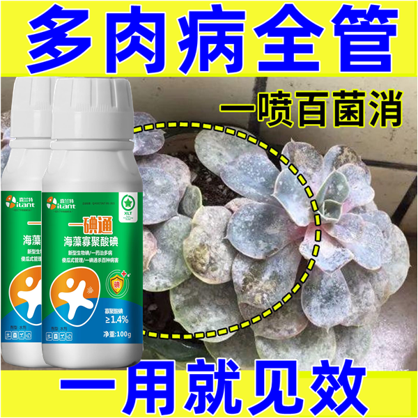 多肉专用杀菌药黑腐掉叶化水黑斑病烟煤病全治增肥增色促芽杀菌剂