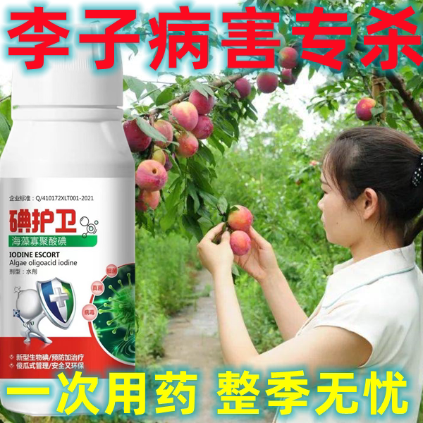 李子杀菌剂杏树病专治李子病害专用例子穿孔病褐腐病流胶病红点病