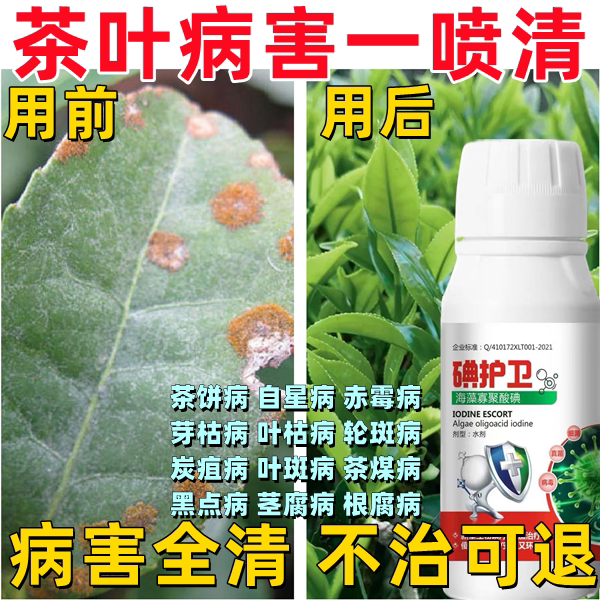 茶叶病害白星病赤霉专治茶叶杀菌剂茶树专用药茶饼病茶霉病炭蛆病