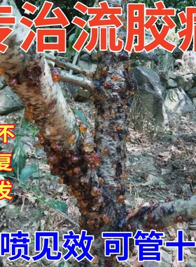 桃树流胶病专用药杏子树穿孔病根腐烂胶克杀菌果树流胶一喷净农用