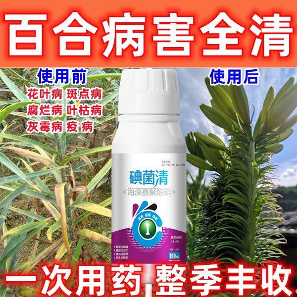 百合杀菌剂百合病害全杀百合病全治百合杀菌药花叶病疫病叶枯病