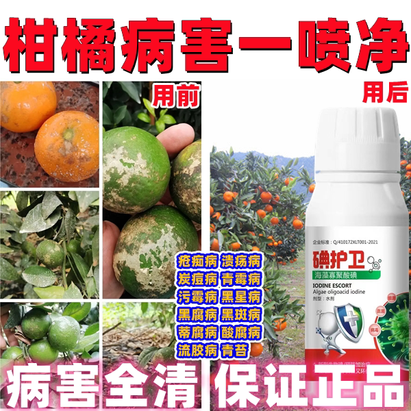 柑橘溃疡病沃柑溃疡专用流胶脂点黄斑炭疽病沙皮病火龙果溃疡炭疽