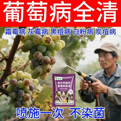 葡萄病专用全管霜霉病炭
