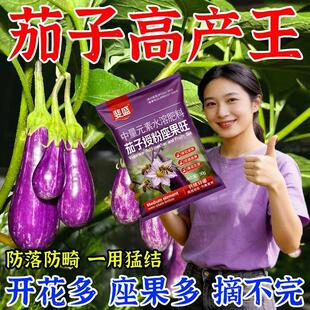 茄子增瓜灵坐果肥治不开花不结果保花保果防落防畸增产增甜叶面肥