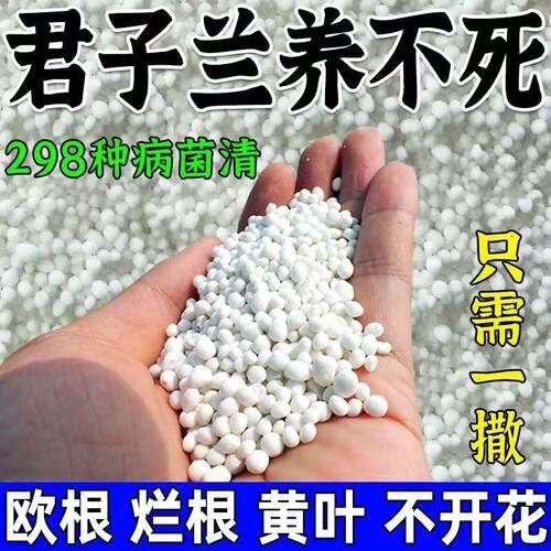 【急救黄叶】君子兰专用药急救叶子发黄烂叶烂根促箭专用杀菌剂