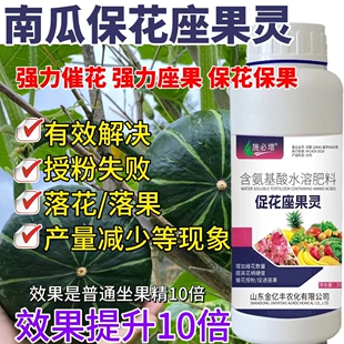 南瓜专用肥料甜瓜香瓜授粉坐果精非药南瓜增瓜灵受粉坐果灵座果精