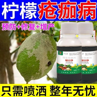 柠檬树肥料杀虫剂橘柚子树专用挂果治黄病叶多菌菌灵杀菌剂生根粉