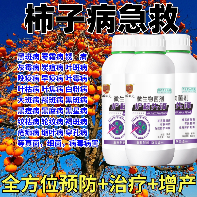 柿子树专用药杀蚧壳虫卷叶缩叶黑斑炭疽枯枝果实溃疡病杀菌剂农用图片