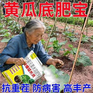 【黄瓜底肥宝】黄瓜种植专用黄瓜苗健壮块根饱满改良土壤水溶肥料