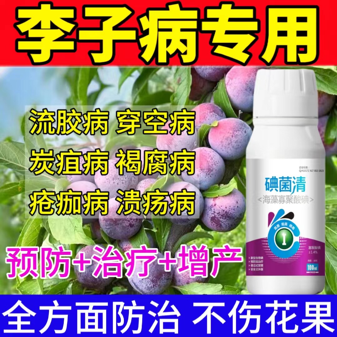 李子杀菌剂李子病专治李子病害专用例子穿孔病褐腐病流胶病红点