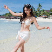泳衣女2026高级性感分体小胸聚拢比基尼三件套海边沙滩泡温泉度假