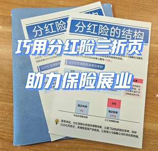 分红三折页 纸质版